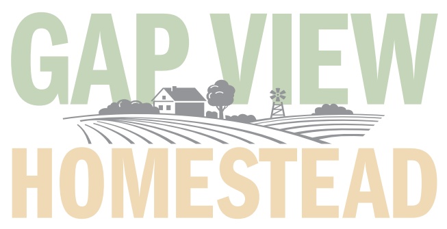 Gap View Homestead